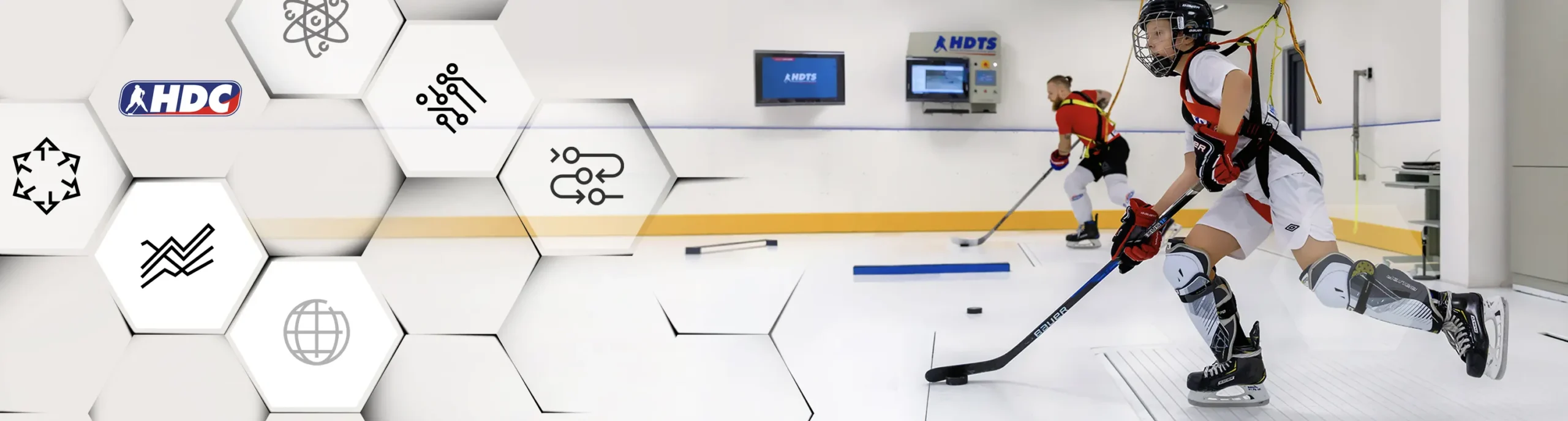 HDTS Group international ecosystem of companies focused on modern hockey player development, combining technology, methodology, education, software, and operational support